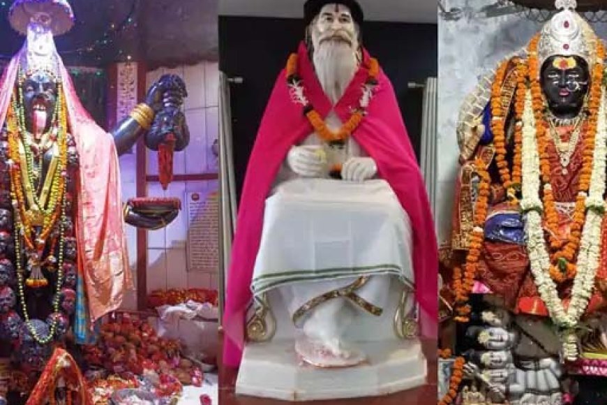 शरद पूर्णिमा पर मां पाताल भैरवी सिद्धपीठ में जड़ी-बूटी युक्त खीर प्रसाद का वितरण: 30 हजार श्रद्धालु करेंगे अमृत खीर का सेवन