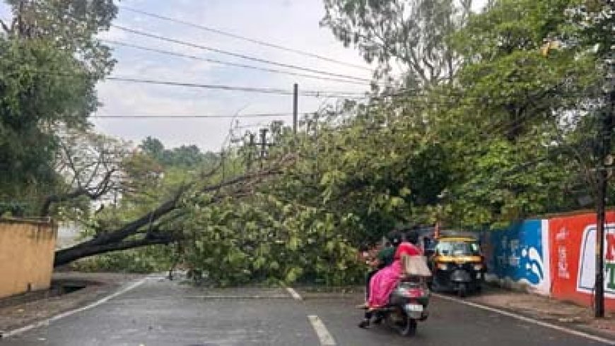 छत्तीसगढ़ के 7 जिलों में यलो अलर्ट: बिजली-आंधी की चेतावनी, आज से थमेगी बारिश की रफ्तार