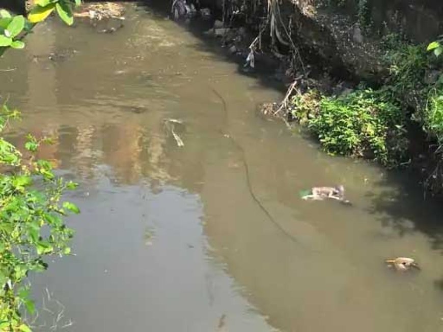 भिलाई में नाले में मिला नवजात भ्रूण, पुलिस ने मर्ग दर्ज कर जांच शुरू की