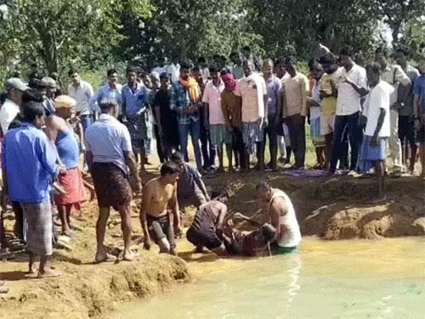 मधुमक्खियों के हमले से बचने डबरी में कूदे पिता-पुत्र, पानी में डूबकर दोनों की मौत