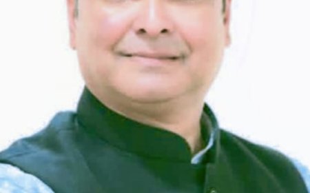 वैशाली नगर में गूंजे छत्तीसगढ़ी गीत, चौक-चौराहों पर राज्योत्सव की सांस्कृतिक गूंज