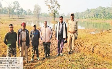 टाइगर की दस्तक से मची हलचल, वन विभाग की चुनौतियां हुई दोहरी, पैदल चलकर लोकेशन ट्रेस कर रही टीम