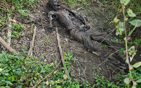 कुम्हारी रेलवे स्टेशन के पास झाड़ियों में मिला नर कंकाल, इलाके में सनसनी