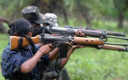 तुमालपाड़ जंगल में मुठभेड़, पांच-पांच लाख के 3 इनामी नक्सली ढेर, हथियार–विस्फोटक बरामद…