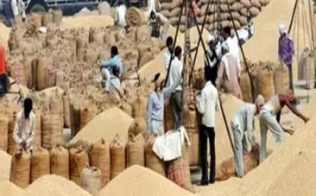 धान खरीदी पर सियासत गर्म! BJP बोली- किसानों का वादा पूरा कौन करेगा…
