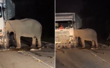 बेमेतरा में भीषण सड़क हादसा… ट्रक और छोटा हाथी की जोरदार भिड़ंत, मौके पर ही 3 की मौत