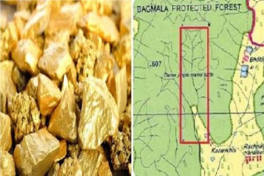 छत्तीसगढ़ की धरती उगलेगी सोना..! गोल्ड माइनिंग के टेंडर की तैयारी, GST रिपोर्ट में बड़ा खुलासा, जानें…