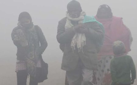 ठंड का दूसरा दौर शुरू! प्रदेश में 3 डिग्री तक लुढ़क सकता है पारा, नया कोल्ड वेव अलर्ट!