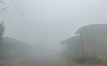 छत्तीसगढ़ में कड़कड़ाती सर्दी: उत्तर-मध्य क्षेत्रों में शीतलहर का अलर्ट, मैनपाट में ओस जमकर बर्फ बनी