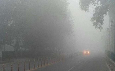 छत्तीसगढ़ में और बढ़ेगी कड़ाके की ठंड, कई जिलों में शीतलहर का अलर्ट जारी