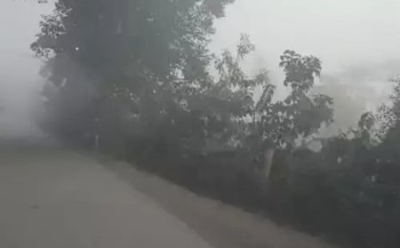 अमरकंटक में जमी ओस, ठंड ने बढ़ाई कंपकंपी