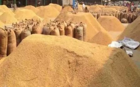 किसानों को मिली बड़ी राहत, जिले के 56 धान खरीदी केंद्रों में बढ़ाई गई प्रतिदिन की लिमिट