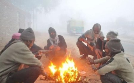 अगले 2 दिन और बढ़ेगी ताबड़तोड़ ठंड, उत्तर और मध्य छत्तीसगढ़ में शीतलहर का अलर्ट