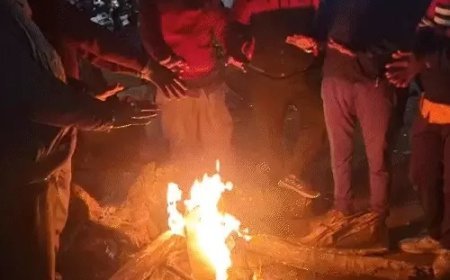 छत्तीसगढ़ में कड़ाके की ठंड का कहर: उत्तर-मध्य जिलों में शीतलहर का अलर्ट, अंबिकापुर 4.3° के साथ सबसे ठंडा