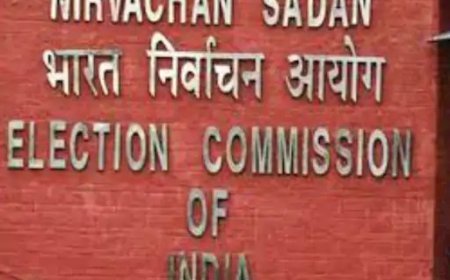 1.33 लाख मतदाताओं को निर्वाचन आयोग का नोटिस:रायपुर में SIR प्रक्रिया के तहत नो-मैपिंग वोटर्स को जारी किया गया