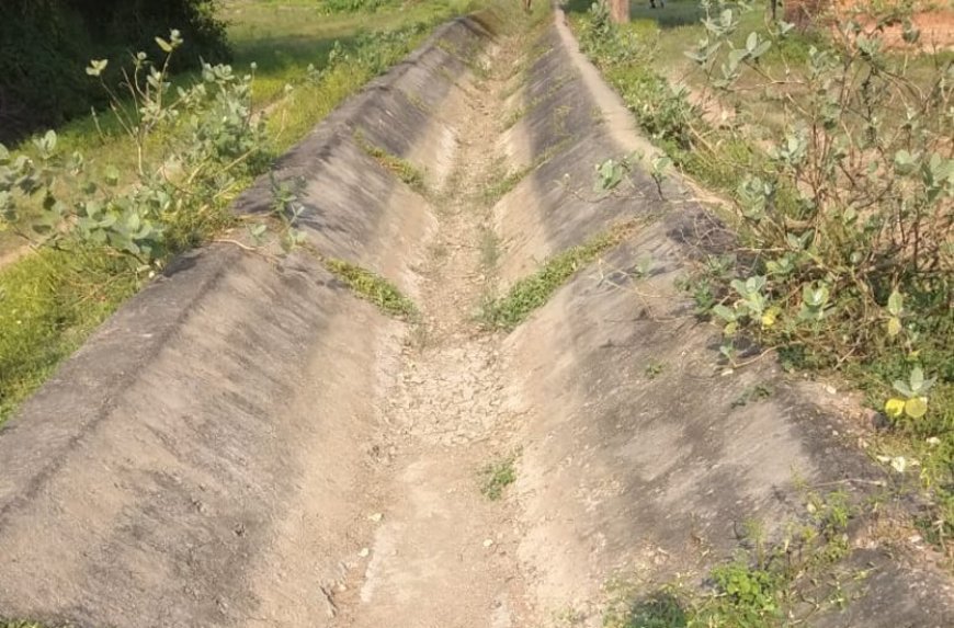 बस्तर सिंचाई योजनाओं की खुली पोल! 20 साल में 300 करोड़ खर्च के बाद भी सिंचित क्षेत्र में मामूली बढ़ोतरी