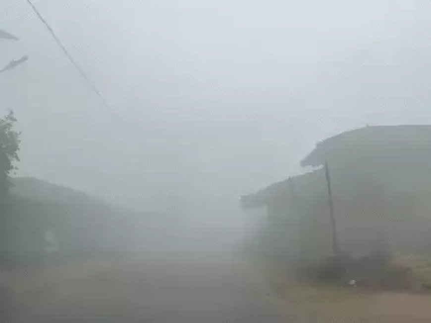 छत्तीसगढ़ में कड़कड़ाती सर्दी: उत्तर-मध्य क्षेत्रों में शीतलहर का अलर्ट, मैनपाट में ओस जमकर बर्फ बनी