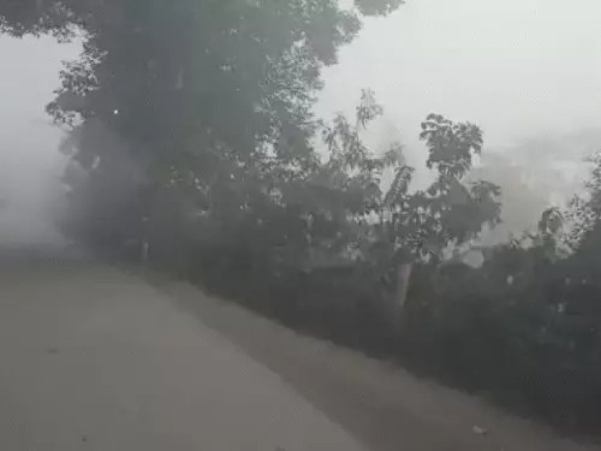 अमरकंटक में जमी ओस, ठंड ने बढ़ाई कंपकंपी