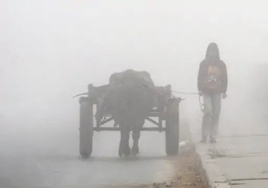 उत्तर भारत में कड़ाके की ठंड और घना कोहरा: 22 राज्यों में शीतलहर, यूपी में हालात सबसे खराब