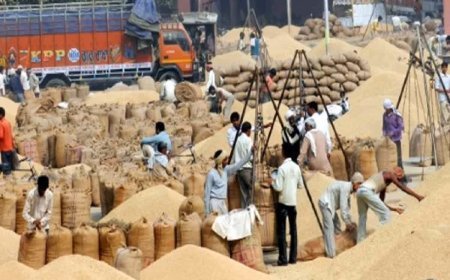 धान खरीदी में ऐतिहासिक रिकॉर्ड! किसानों को मिला 94,960 करोड़ रुपए का भुगतान