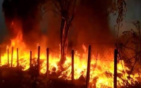 बिलासपुर के मोपका सब स्टेशन में लगी भीषण आग, आधे शहर में ब्लैकआउट, मची अफरा-तफरी