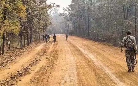 बस्तर अंचल का सर्वांगीण विकास सुनिश्चित करने के लिए सरकार प्रतिबद्ध : मुख्यमंत्री विष्णु देव साय