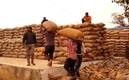 7 करोड़ रुपये का धान—चूहे खा गए या फिर भ्रष्टाचार? : अरुण वोरा