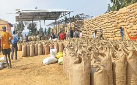 ऑनलाइन-ऑफलाइन टोकन बंद! खरीदी व्यवस्था पर सवाल, भूपेश बघेल ने कहा- BJP सरकार नहीं खरीदना चाहती धान