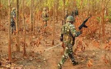 बीजापुर में माओवादियों की बड़ी साजिश नाकाम, सड़क पर बिछाए गए दो कमांड IED बरामद, बड़ा ब्लास्ट टला