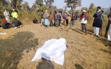 जंगल में मिली बुजुर्ग की गर्दन कटी लाश, बगल में पड़ी थी खून लगी कुल्हाड़ी और चावल के दाने