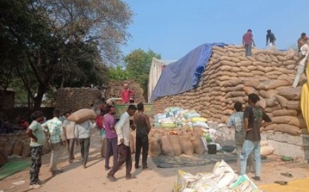 धान खरीदी में गड़बड़ी! तीन केंद्रों में नहीं हुआ ऑनलाइन भौतिक सत्यापन, कलेक्टर की मॉनिटरिंग, फिर भी चूक कैसे?