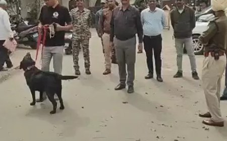 छत्तीसगढ़ के चार जिला कोर्ट को बम से उड़ाने की धमकी, ई-मेल से मचा हड़कंप