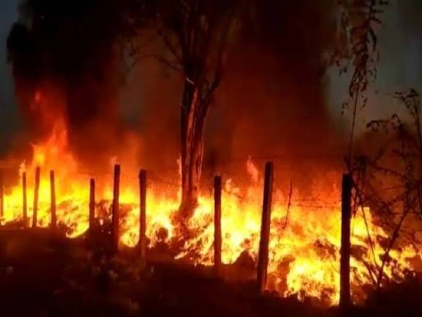 बिलासपुर के मोपका सब स्टेशन में लगी भीषण आग, आधे शहर में ब्लैकआउट, मची अफरा-तफरी