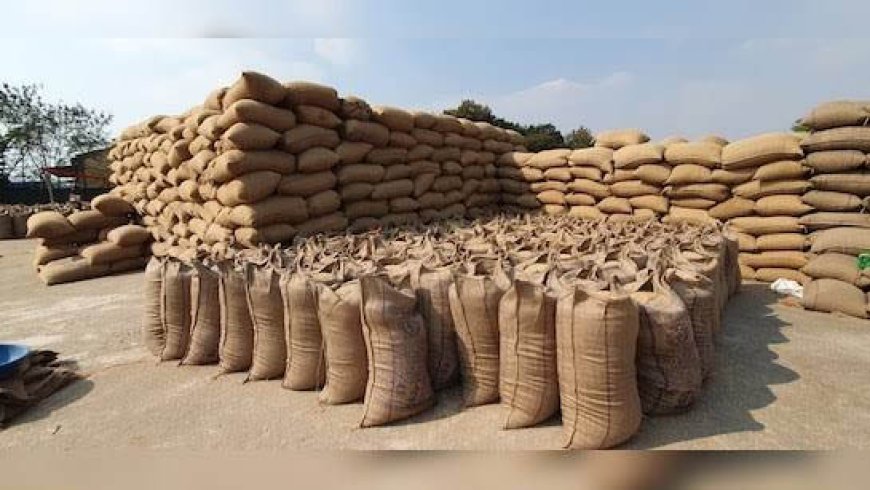 धान उपार्जन व्यवस्था में पारदर्शिता सुनिश्चित करने राज्यभर में सघन कार्रवाई