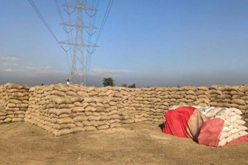 धान खरीदी में चूक! लक्ष्य अधूरा, धान नहीं बिकने से टूटा किसान, फिनाइल पीकर आत्महत्या की कोशिश