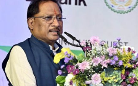 विकसित भारत की दिशा में निर्णायक बजट: मुख्यमंत्री विष्णुदेव साय