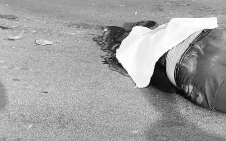 सीएम हाउस के पास सरकारी वाहन की टक्कर से छात्र की मौत, बहन गंभीर, चालक फरार