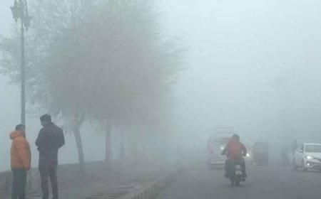 छत्तीसगढ़ में तापमान का उतार-चढ़ाव, कुछ जिलों में हल्की बूंदाबांदी के आसार, पश्चिमी विक्षोभ रहेगा सक्रिय