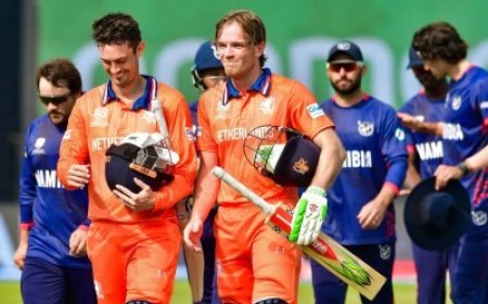 T20 वर्ल्ड कप में नीदरलैंड ने नामीबिया को हराकर रचा इतिहास, अब तक कोई एसोसिएट टीम नहीं कर सकी ऐसा