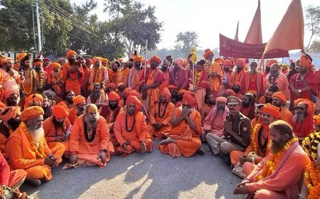 राजिम कुंभ में जूना अखाड़ा की पंगत, जयकारों से गूंजा पंडाल