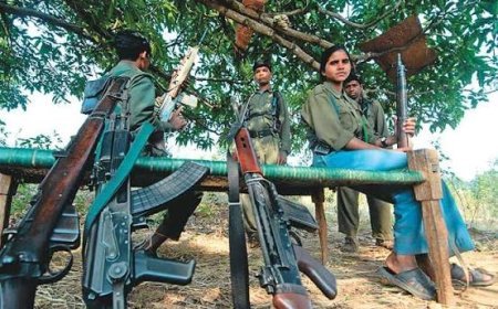 नक्सल विरोधी अभियान जारी… सुरक्षाबलों ने तोड़े 6 प्रतीक, सर्चिंग में IED और विस्फोटक सामग्री बरामद