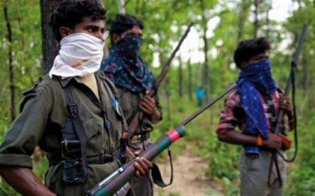 डेडलाइन से पहले नक्सलवाद पर बड़ी सफलता, बीजापुर मुठभेड़ में 2 नक्सली ढेर, कई हथियार बरामद