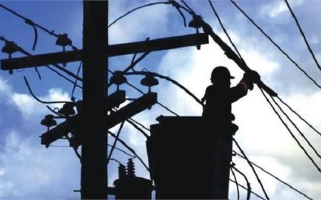 5 करोड़ बकाया पर बिजली विभाग सख्त, जिले के 70 उपभोक्ताओं का कटा कनेक्शन, अब 10 हजार से ज्यादा बकायादारों की बारी
