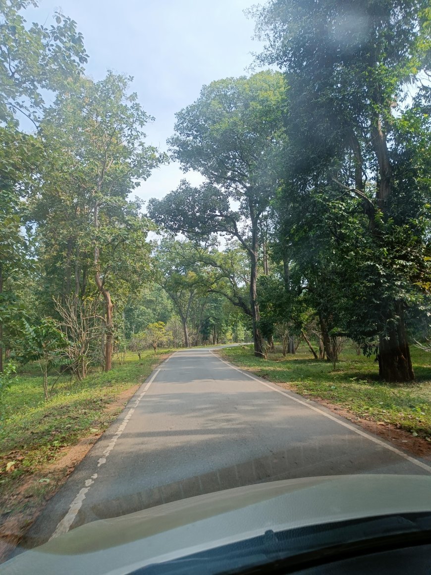 8.44 करोड़ के विकास कार्यों से पंडरिया के गांवों में बदलेगी आवागमन की तस्वीर, सड़क नेटवर्क होगा मजबूत