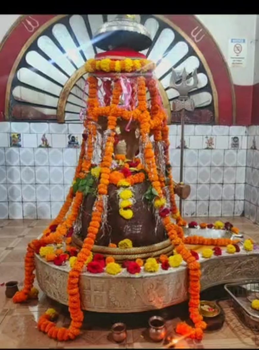 शिवधाम कोड़िया का ‘भुइं फोड़ शिवलिंग’: घुरूवा से ज्योतिर्लिंग तक आस्था की अद्भुत गाथा