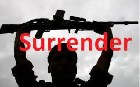 नक्सल नेटवर्क को तगड़ा झटका! मुख्य कमांडर समेत 15 नक्सलियों ने डाले हथियार