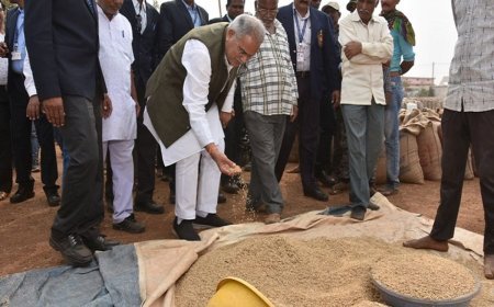 धान भुगतान बना राजनीतिक मुद्दा, BJP के बयान पर बघेल बोले- मेहनत की कमाई पर सवाल क्यों?