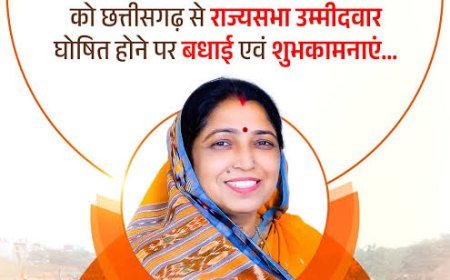 कौन है BJP की राज्यसभा प्रत्याशी लक्ष्मी वर्मा, रायपुर में पार्षद से शुरू हुआ राजनीतिक सफर, जानें पूरा प्रोफाइल