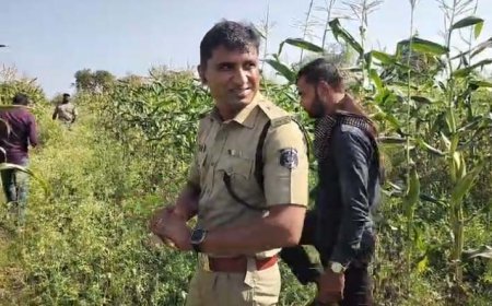 समोदा में अफीम की खेती पर सियासत गरम, पूर्व मुख्यमंत्री भूपेश बघेल ने सरकार पर साधा निशाना