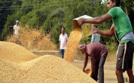 धान खरीदी पर सरकार-विपक्ष आमने-सामने, सदन से बाहर निकला विपक्ष